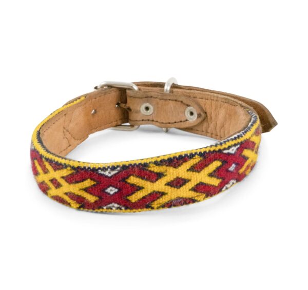 Leather dog collar