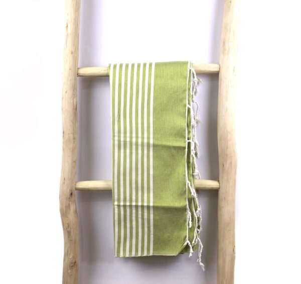 Beach & pool towel 17